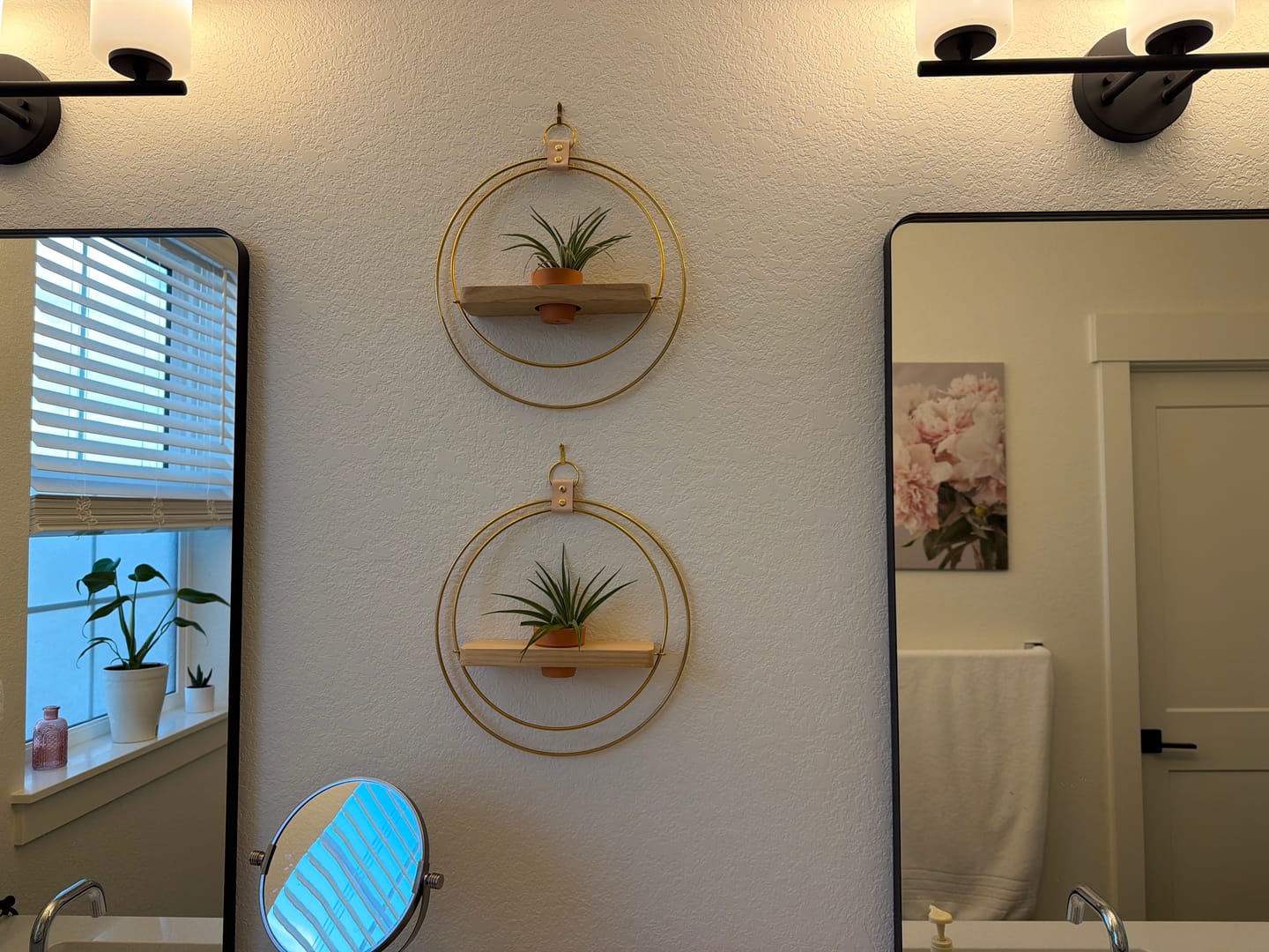 Customer photo review of Air Plant Shelf + Pot Trio