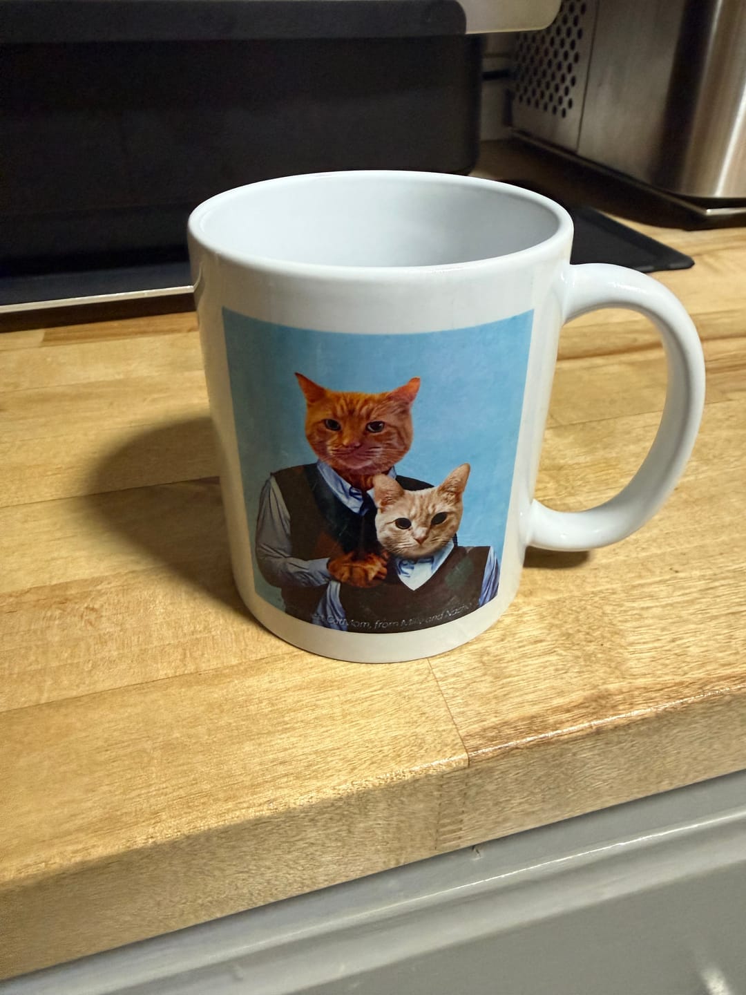 Customer photo review of 'Step Kitties' Custom 2 Cat Mug