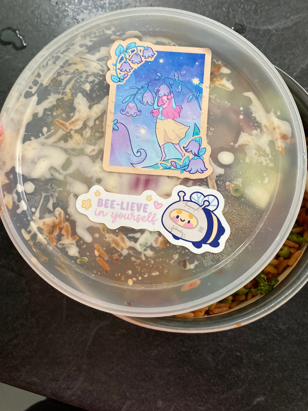 Customer photo review of Katnipp Mystery Die Cut Sticker Pack | 6 Kawaii Surprise Stickers | Discount Bundle