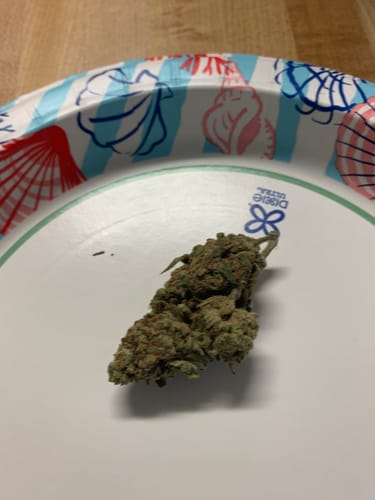 Customer photo review of Blueberry Cupcakes | THCA Flower Smalls