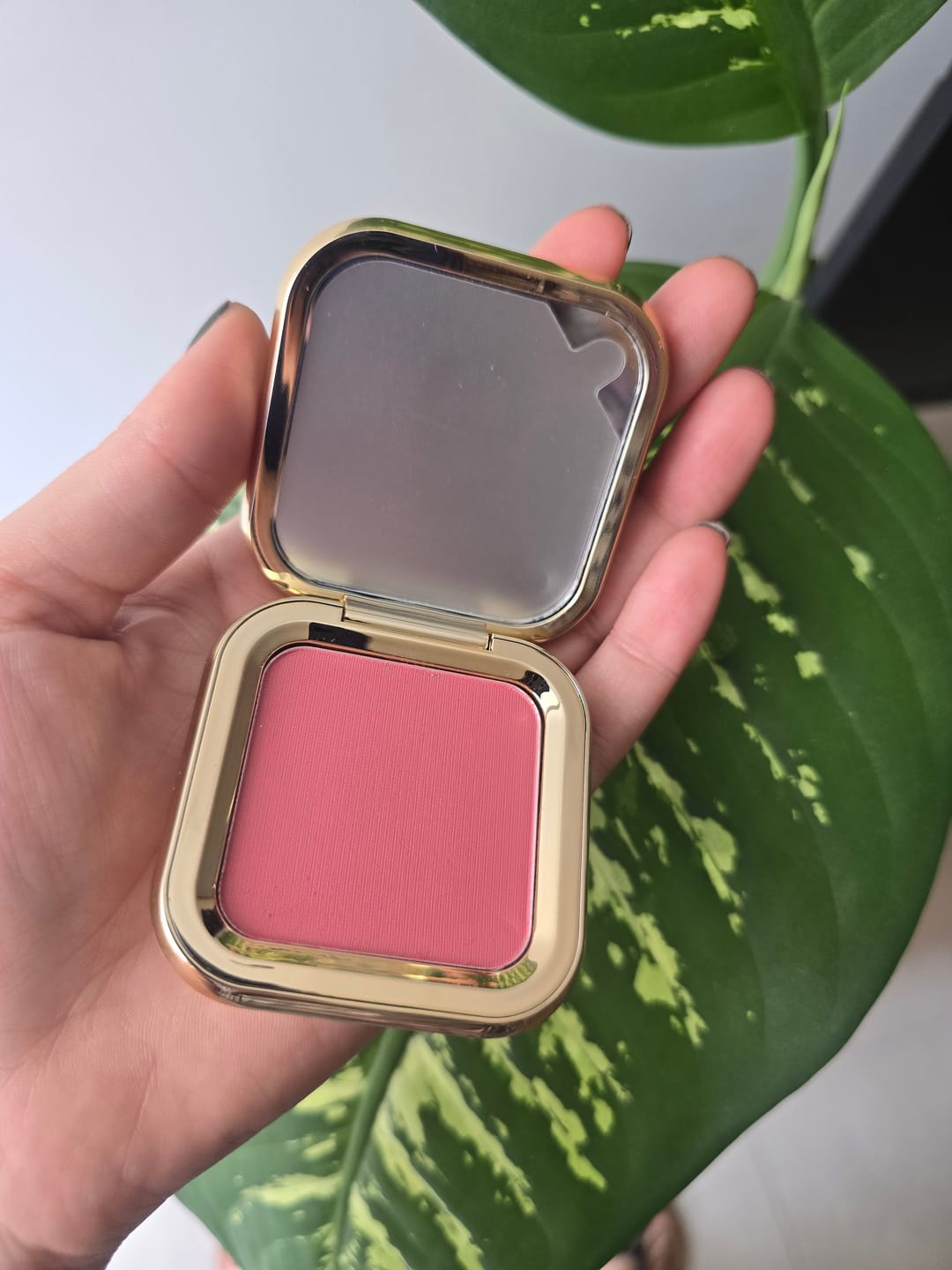 Customer photo review of RUBORES COMPACTO 1ST SCENE