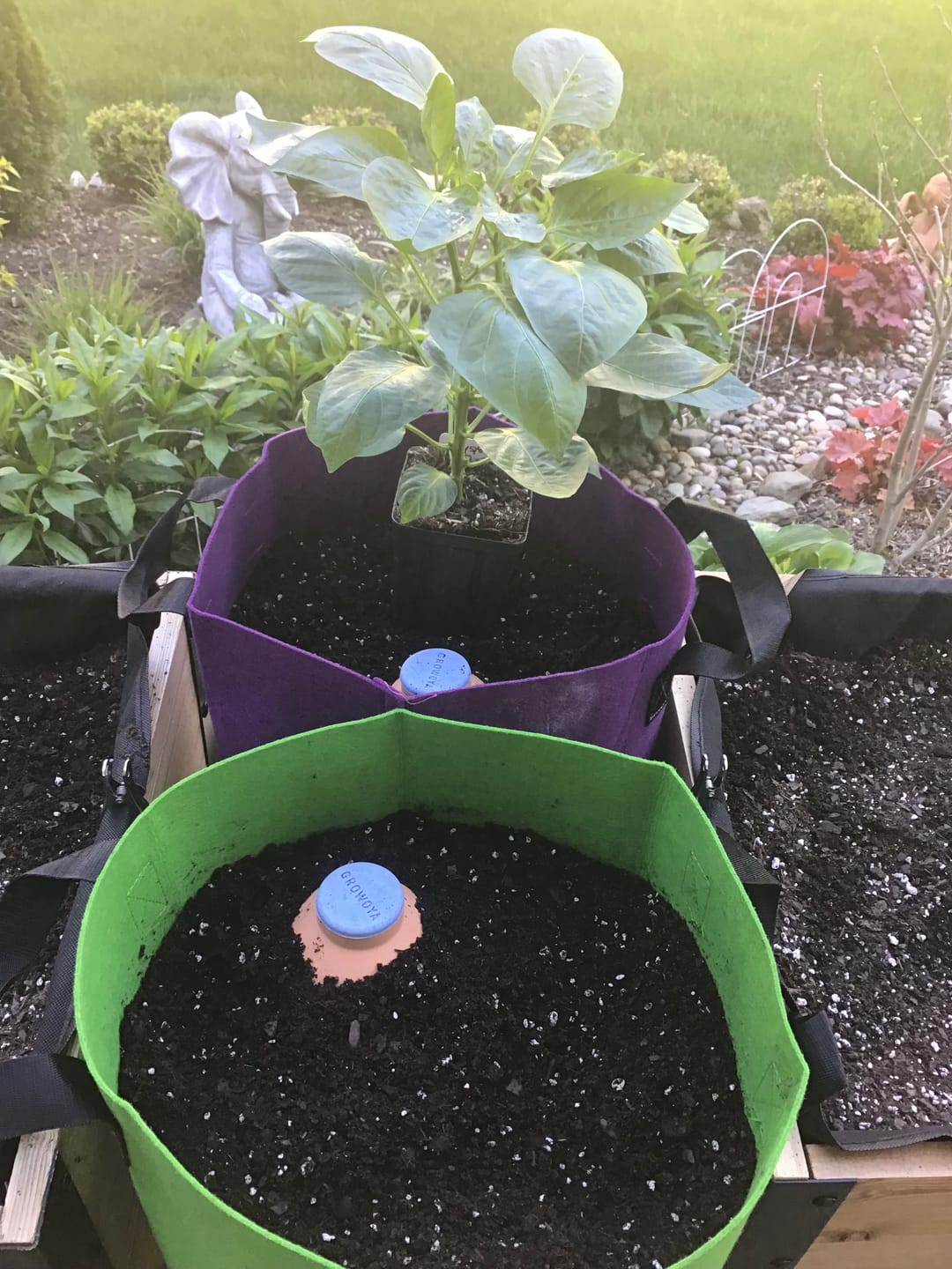 Customer photo review of Oya™ Watering Spike