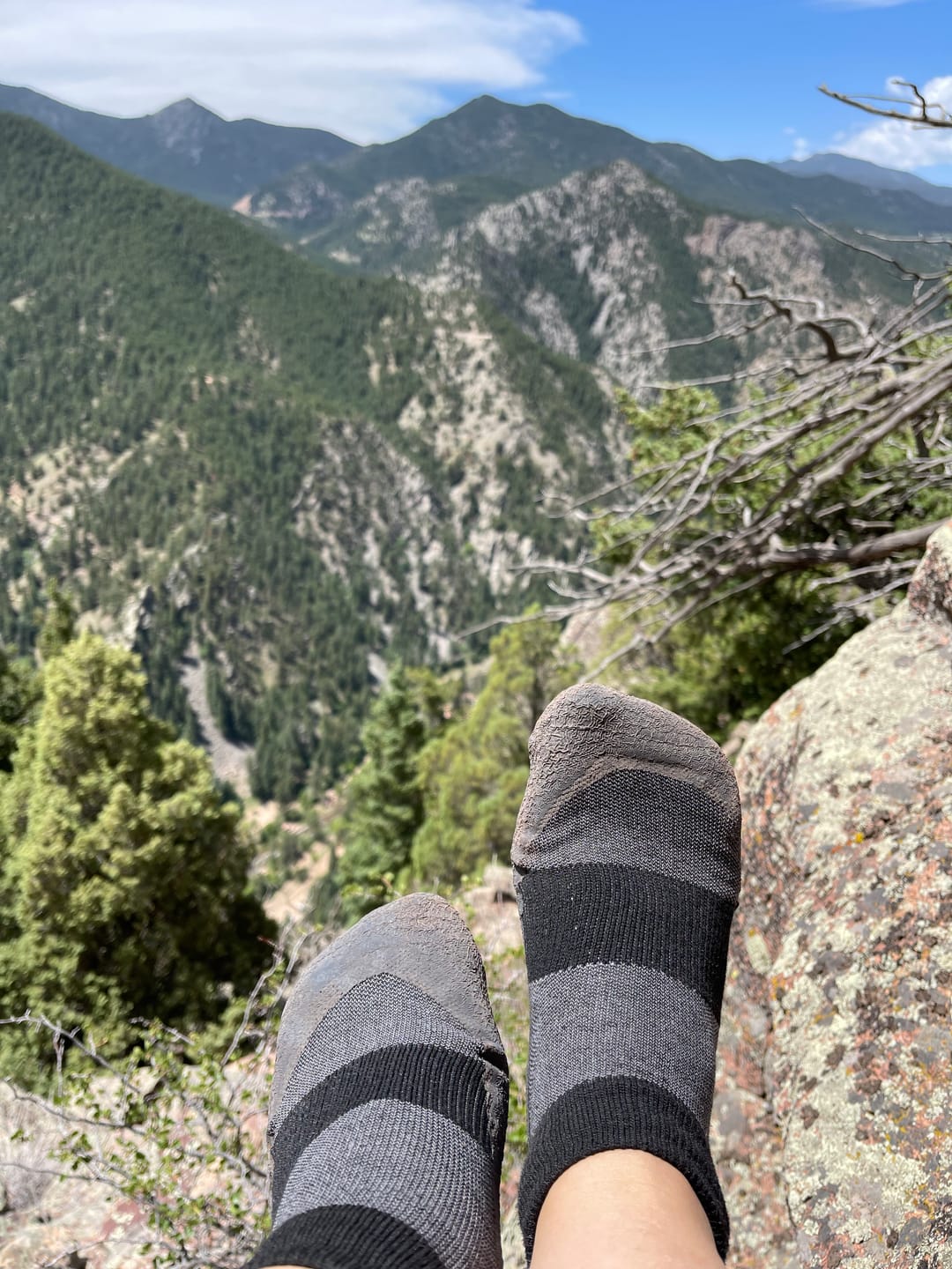 Customer photo review of Baresocks 2.0