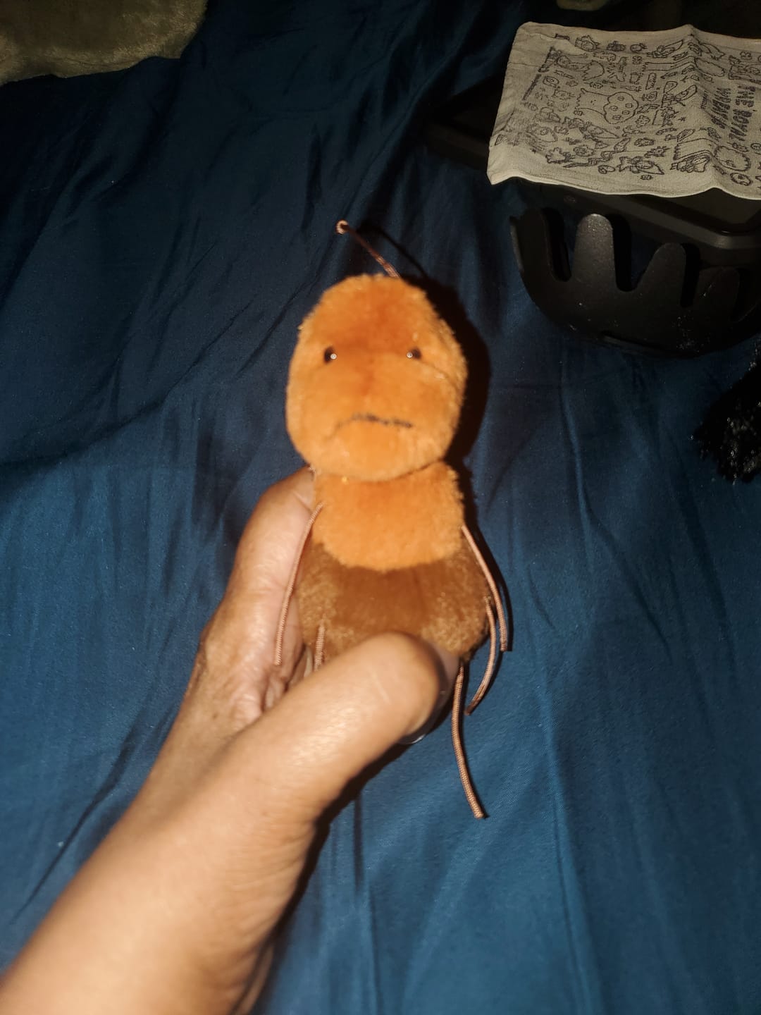 Customer photo review of Forgotten Alfred the Ant (Preorder for April)
