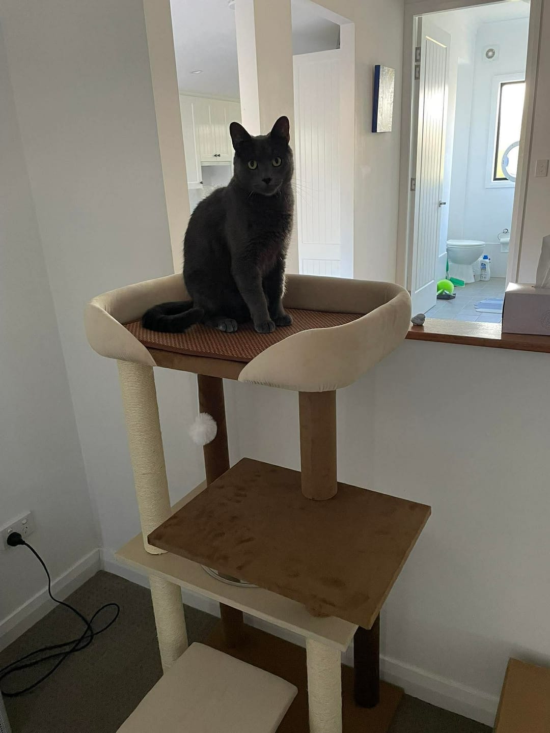 Customer photo review of Luxury Japanese-Style Cat Tree with Large Bed – 90906