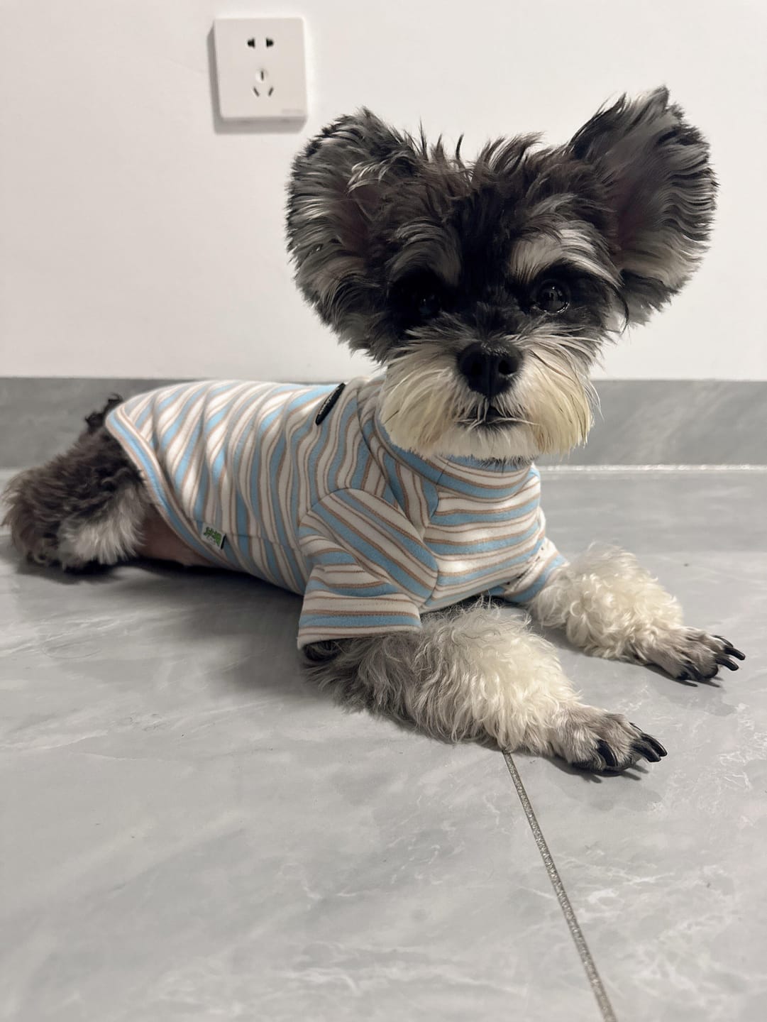 Customer photo review of City Lines Shirt