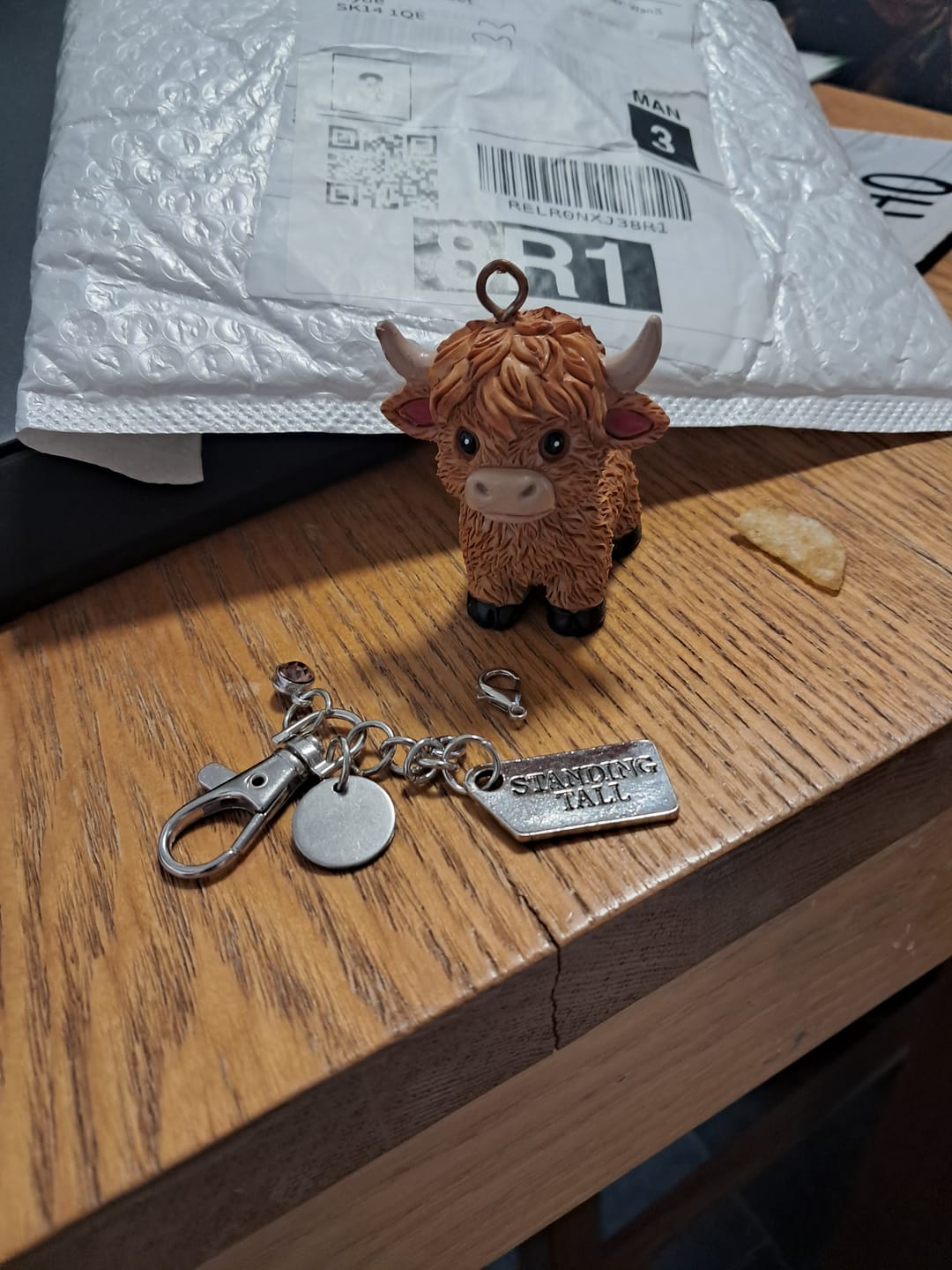 Customer photo review of 🐮A Little Highland Cow For You Keychain: Your Daily Reminder of Quiet Strength