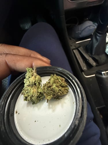 CBD Flower - Abacus Diesel photo review