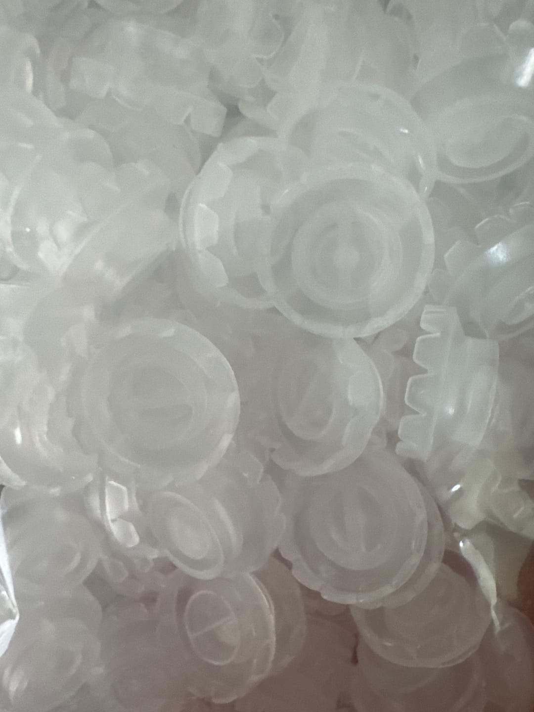 Customer photo review of 100PC Sunflower Fanning Cup