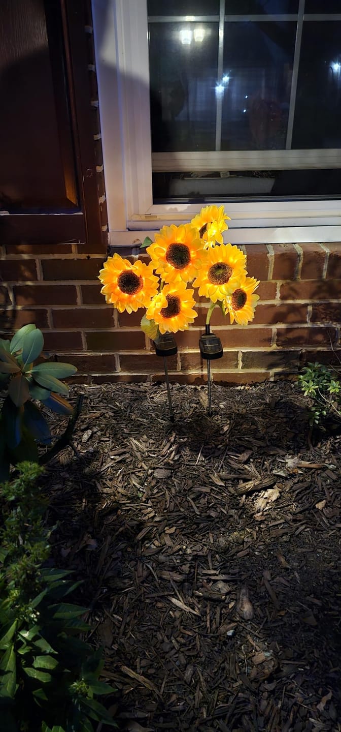 Customer photo review of Litlamp® Solar Sunflower LED Lights