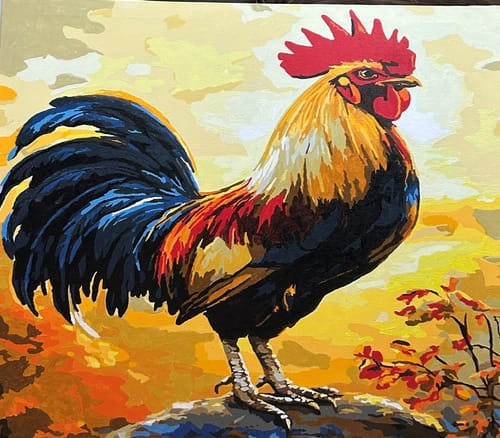 Customer photo review of Rooster, Golden Sunrise