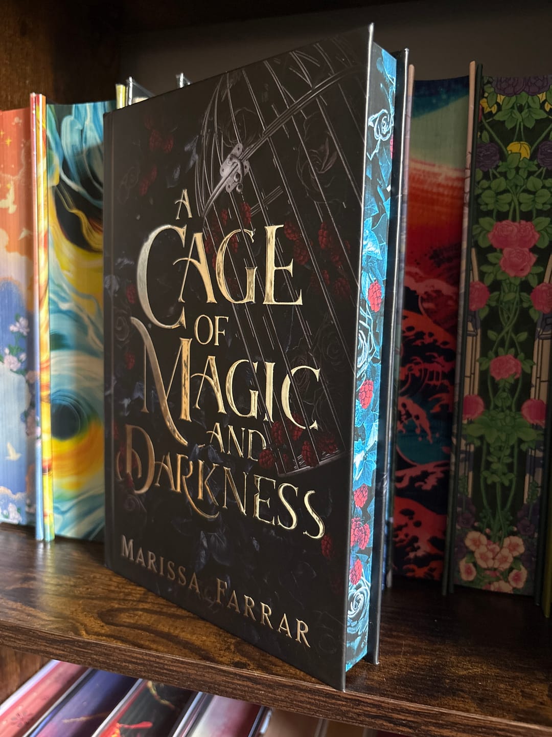 Customer photo review of A Cage of Magic and Darkness: Special Edition Hardback