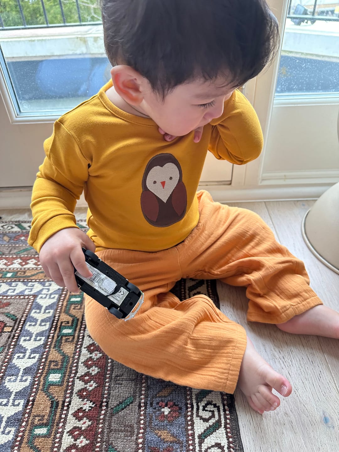 Customer photo review of Brown Owl Applique Long Sleeve T-Shirt