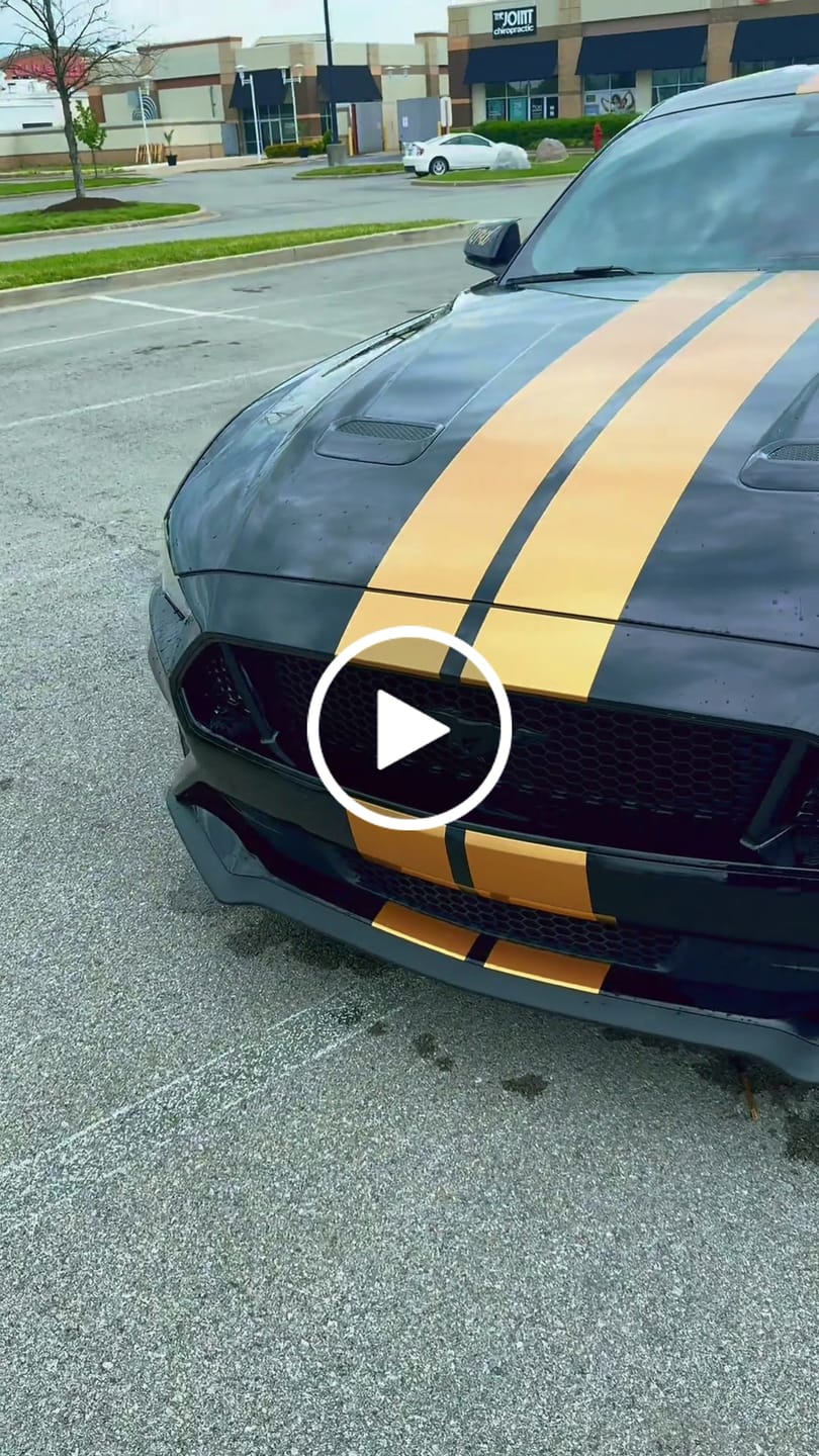Customer video review of 2015-23 Ford Mustang S550 Coupe Leather Seat Covers
