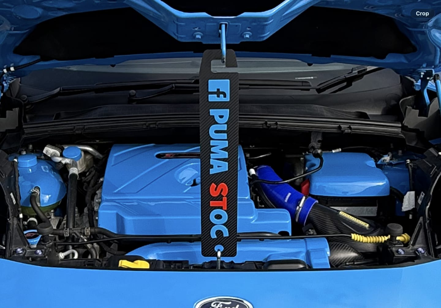 Customer photo review of Custom Universal Bonnet Props (4D Acrylic)