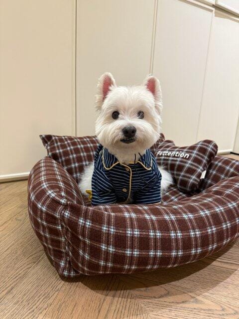 Customer photo review of Hit Snooze, Hooman Pajamas — Midnight Blue
