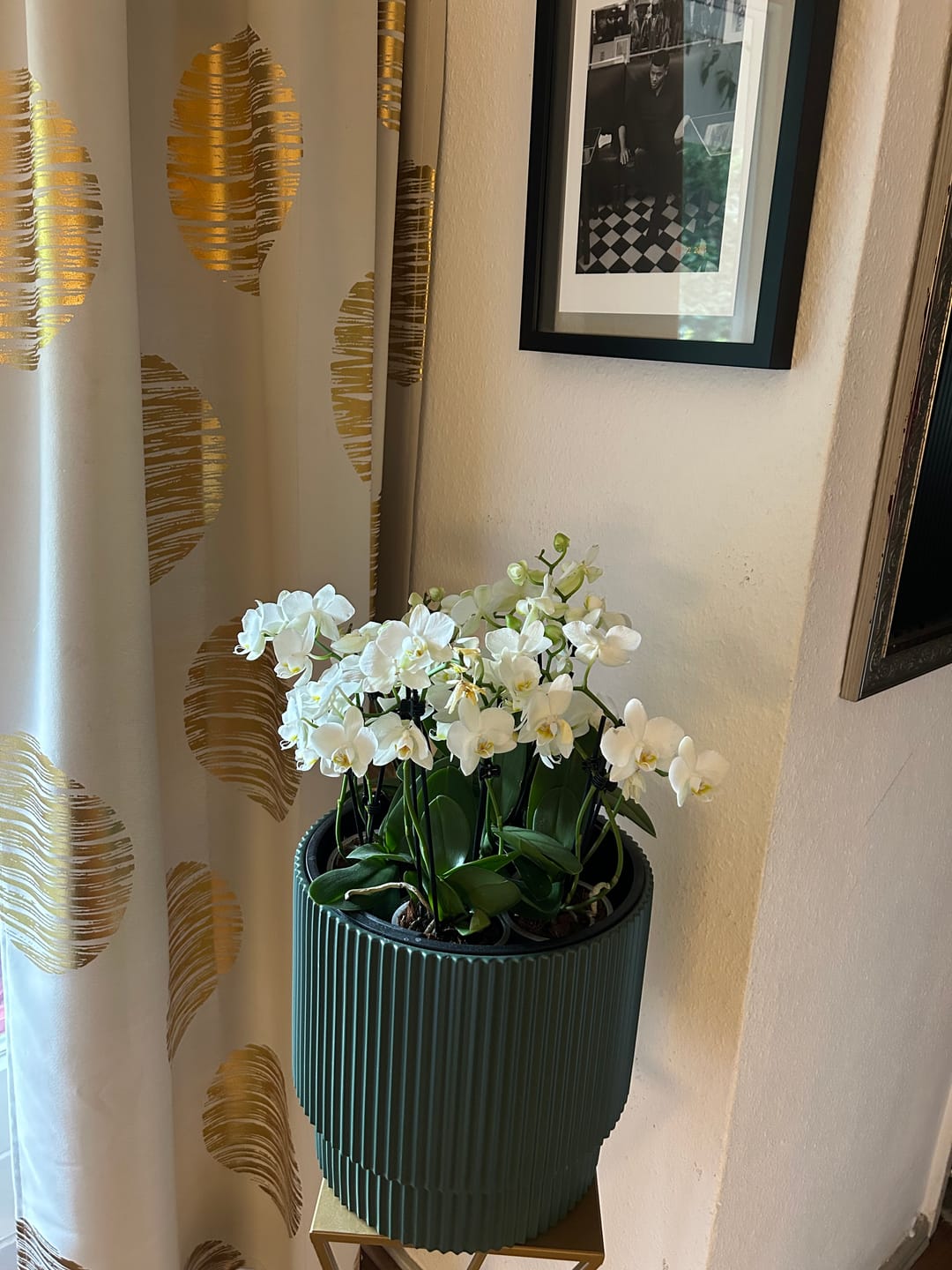 Customer photo review of Table Dance Weiß mit weißen Blüten und 3 Rispen