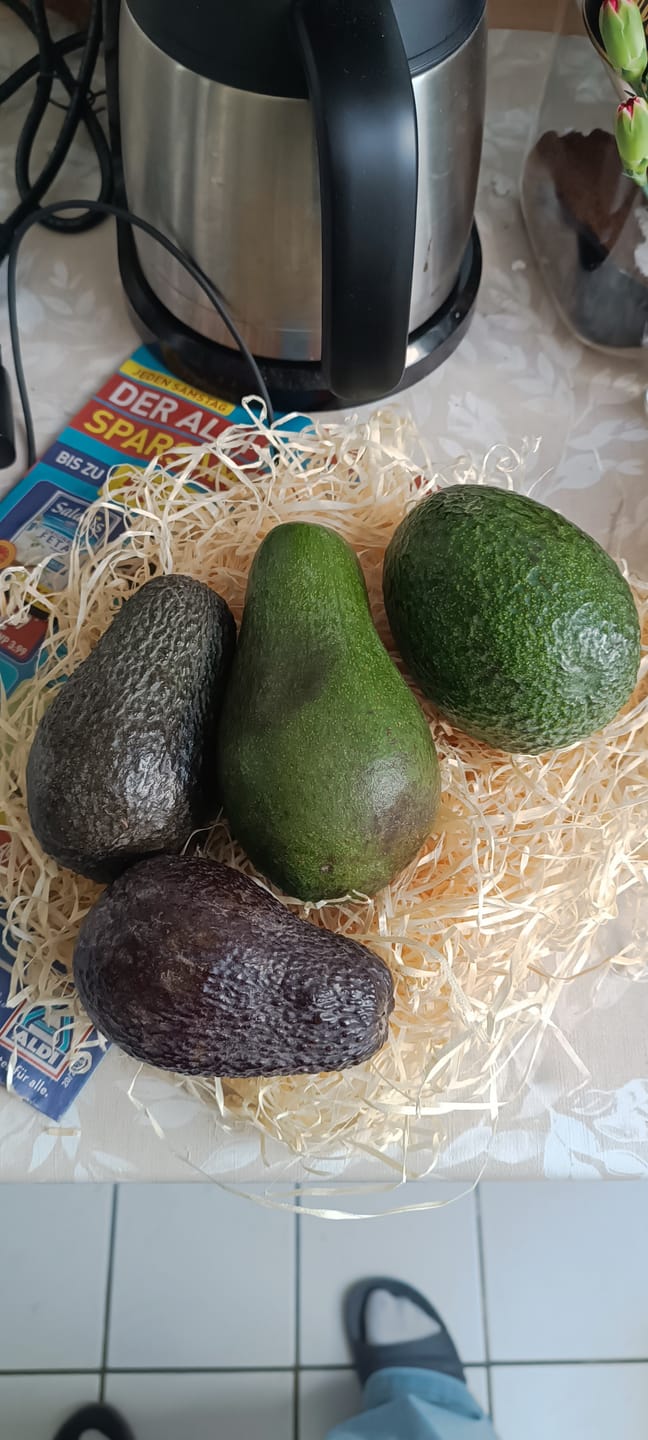 Customer photo review of Avocado-Mix 13 Monate baumgereift Sonderaktion % 2kg Box