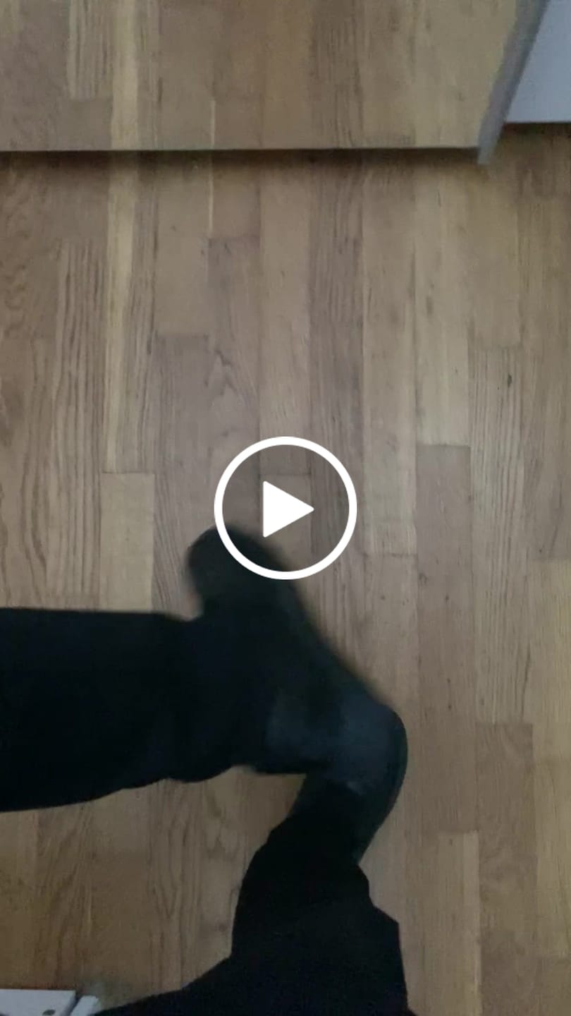 Customer video review of ELEVATESHOES CASUAL ALL BLACK