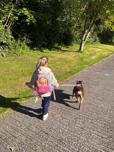 Customer photo review of Ladder Combat® Multiple Handles Lead - Pink