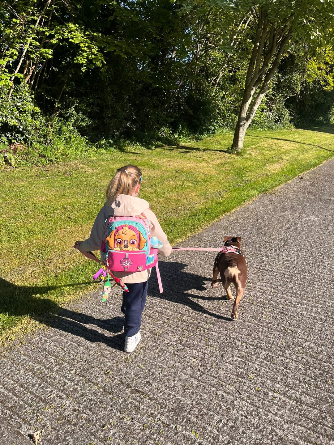 Customer photo review of Ladder Combat® Multiple Handles Lead - Pink