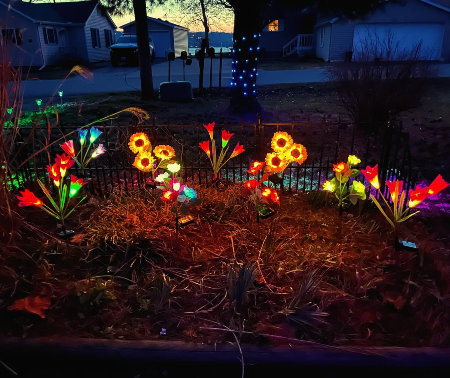 Customer photo review of Litlamp® Solar Sunflower LED Lights