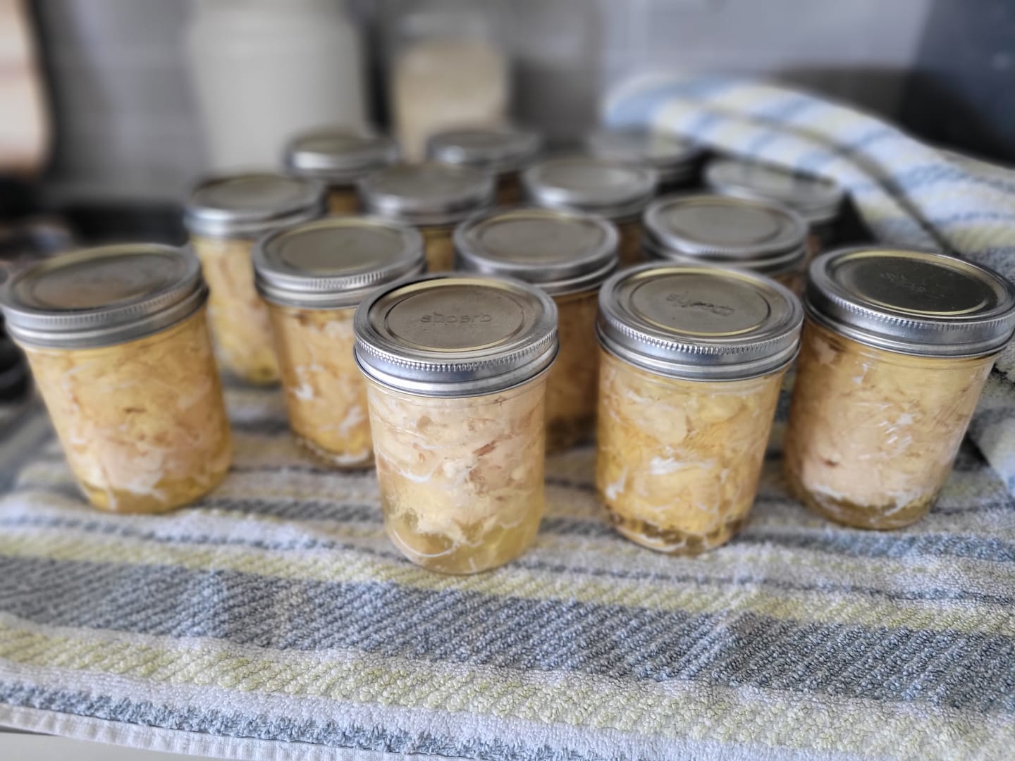 Customer photo review of Bulk Wide Mouth Canning Lids - 60 Pack