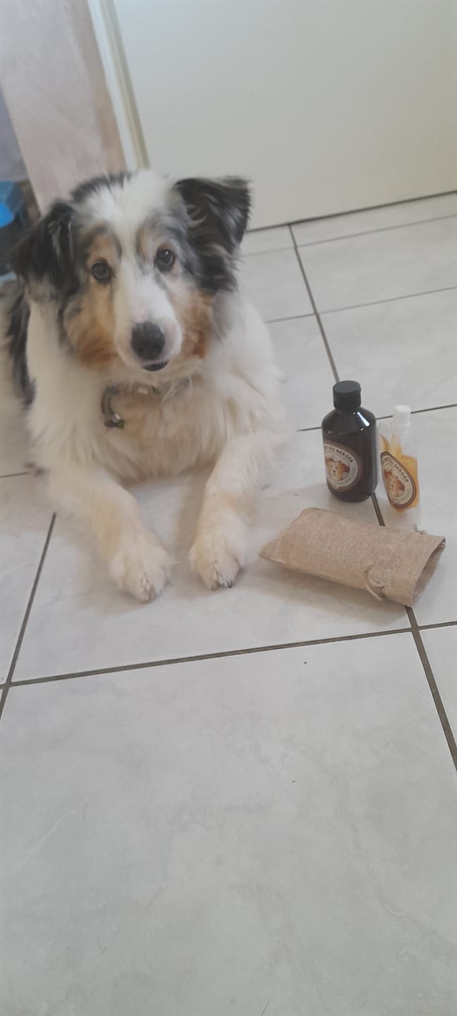 Customer photo review of Shampoing Sans Rinçage - Apaisant pour chien 🏔️