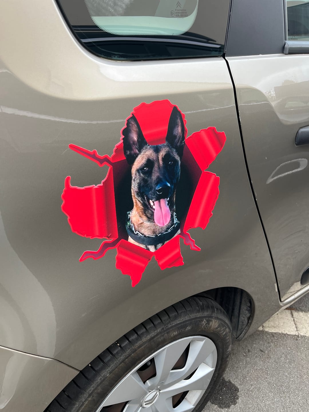 Customer photo review of Photo animal curieux - Autocollant pour voiture personnalisé