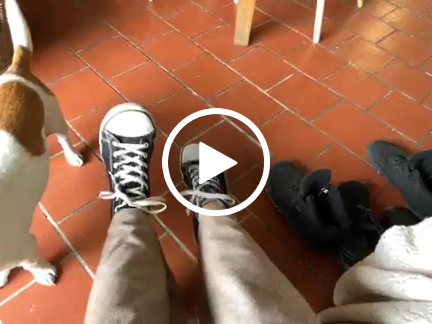 Customer video review of Roam I - Barefoot Chaussures