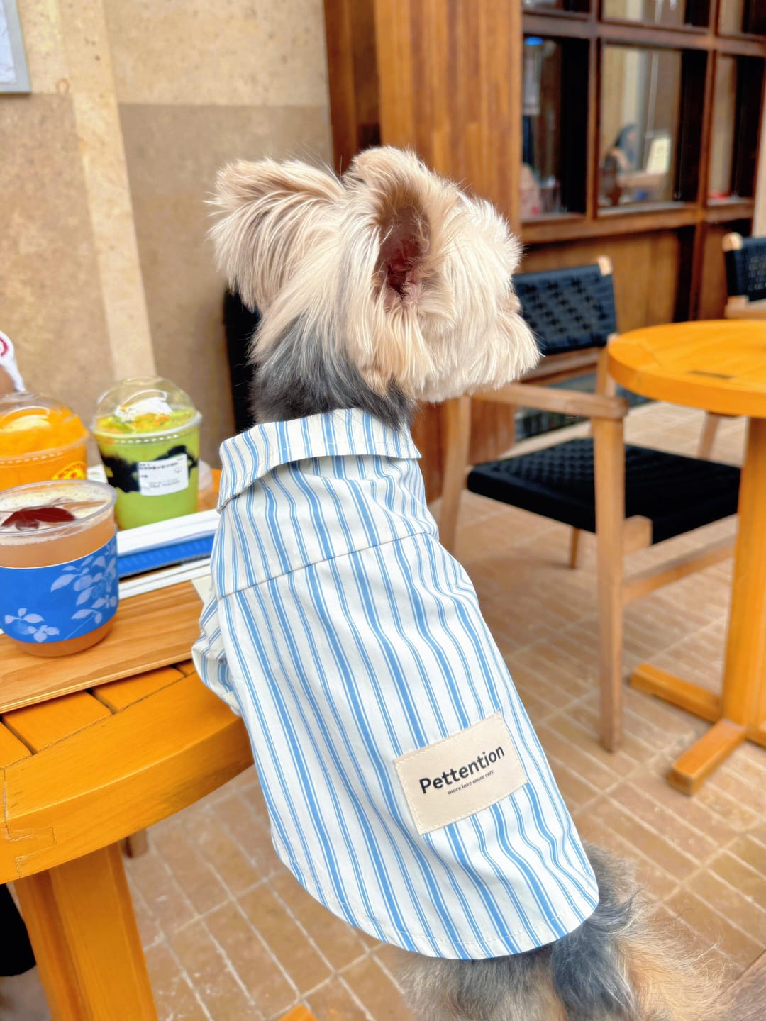 Customer photo review of Blueberry Morning Shirt