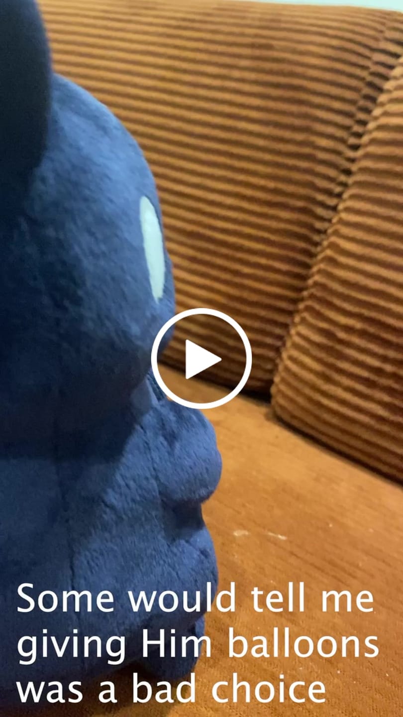 Customer video review of Rain World - Prince Plush