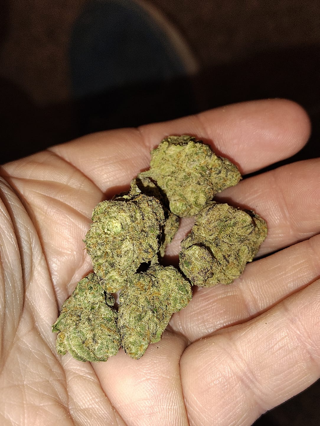 Customer photo review of Cherry Pie - Bulk - Hybrid