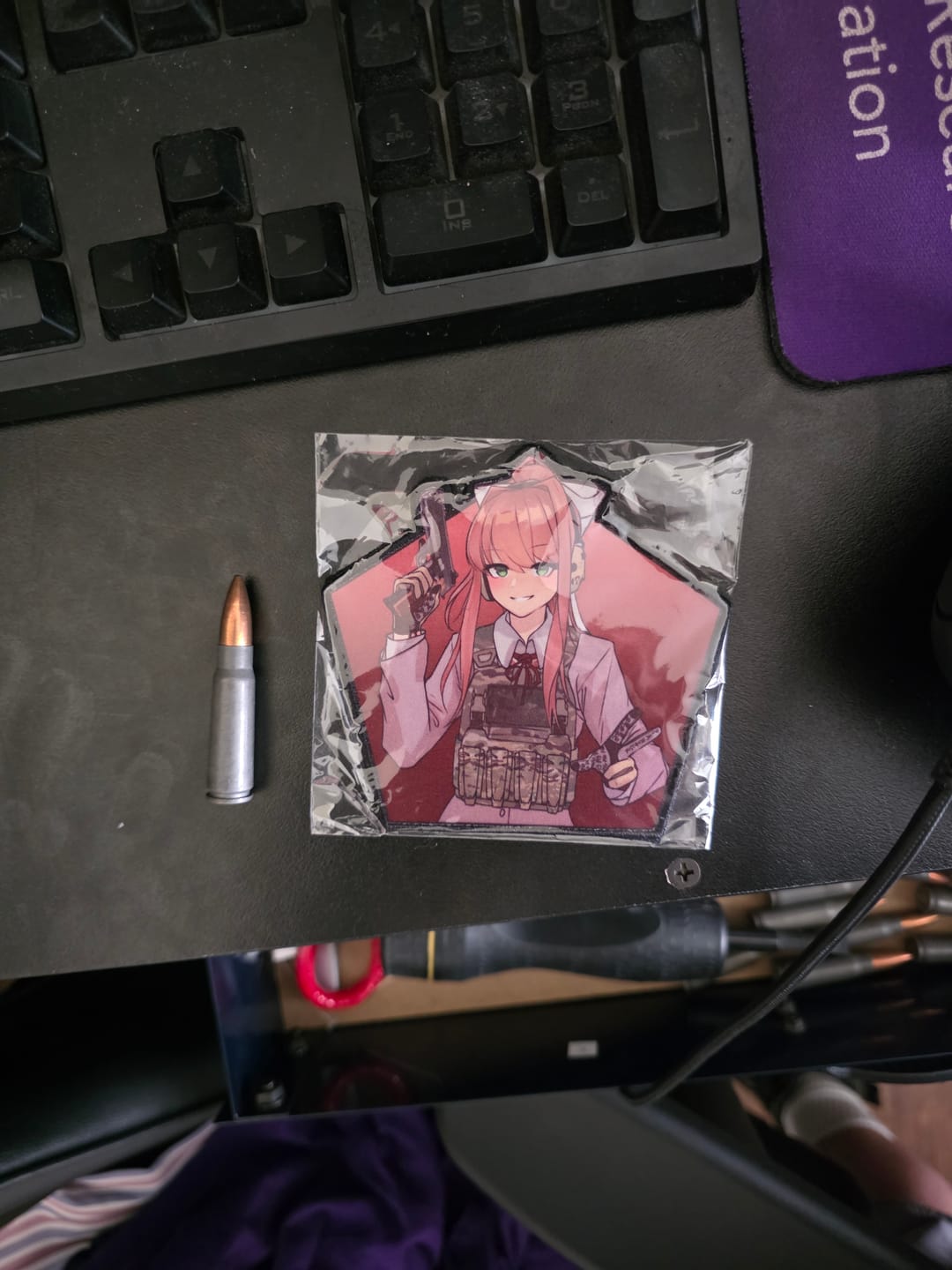 Customer photo review of Doki Doki Literature Club Monika Patch