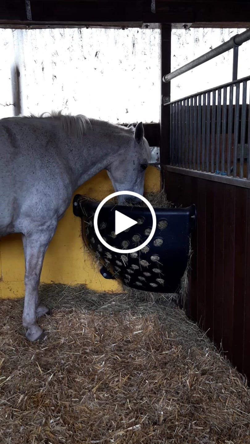 Customer video review of Icelandic Horse Eck Heuspender XL, 300 Liter