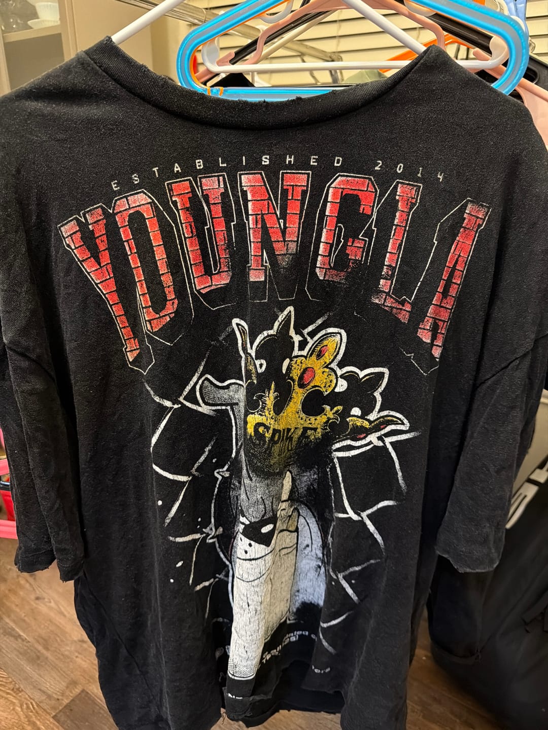 Customer photo review of 4082 - Tom & Jerry Tees