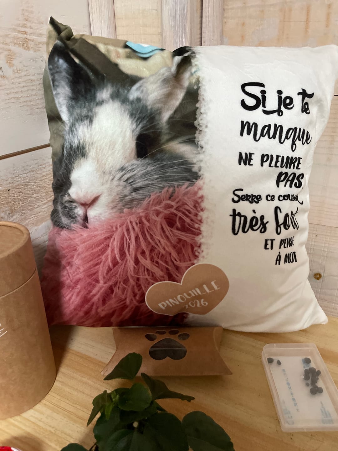 Customer photo review of Si je te manque - Coussin personnalisé