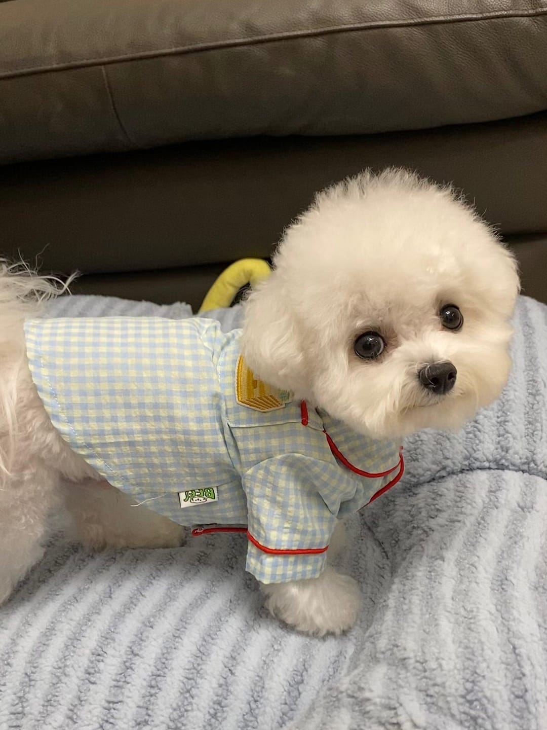 Customer photo review of Gingham Getaway Shirt