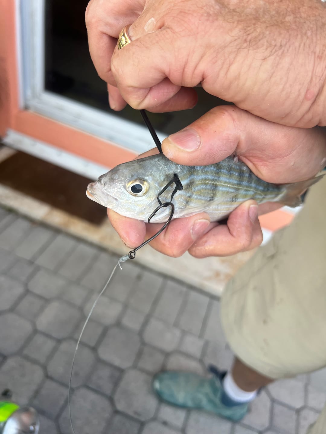 Customer photo review of Rigging Bands
