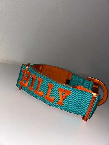 Customer photo review of 5cm Lighter Combat® Collar | With Handle Secure Clip - Turquoise x Orange