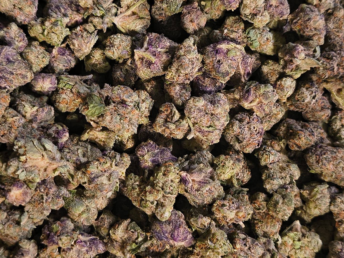 Customer photo review of Barneys Biscotti Minis - 14 Grams - Indica