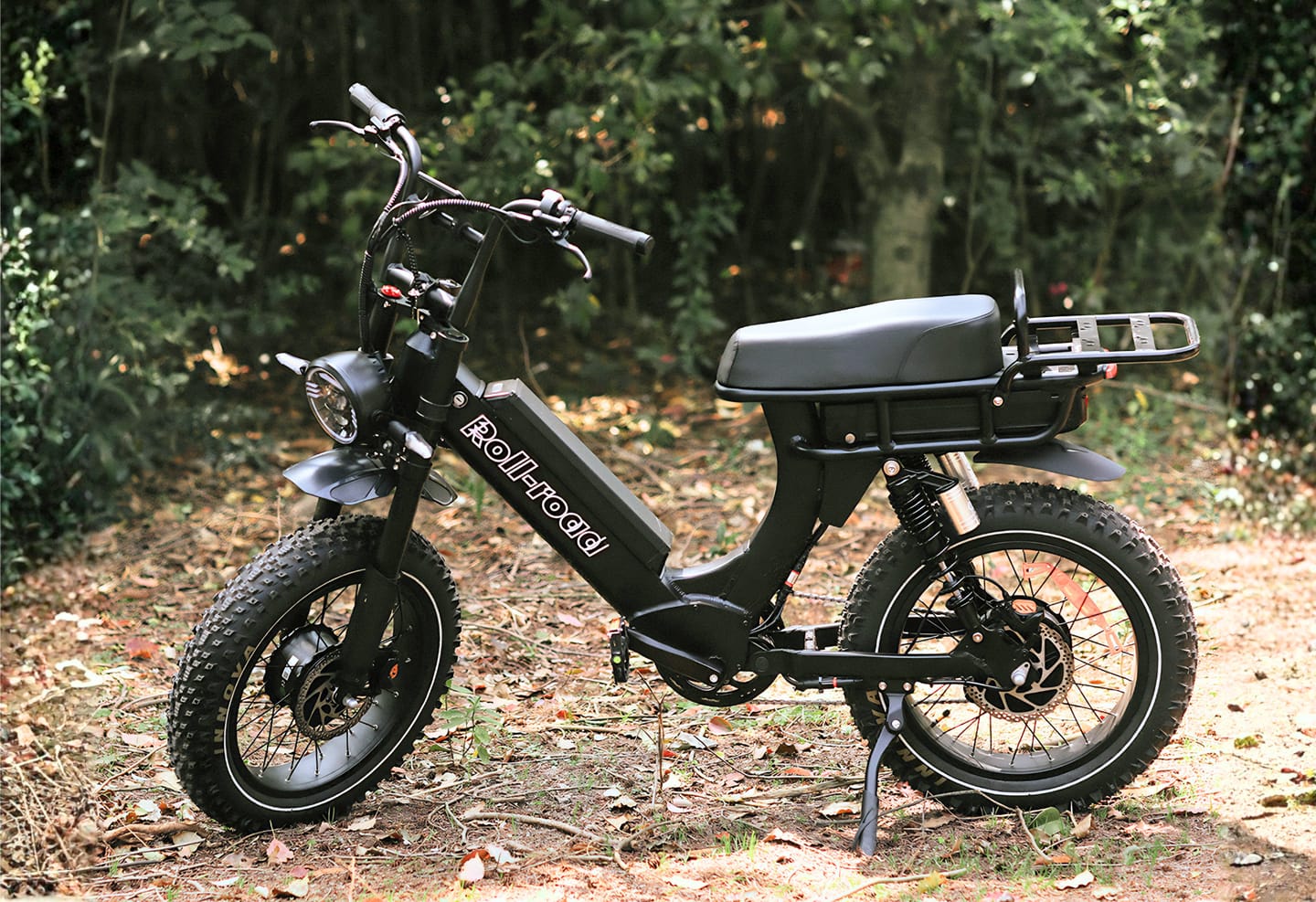 Customer photo review of Leon Dual Motor Ebike