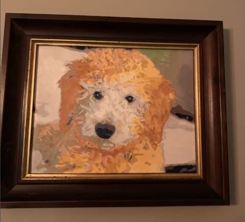 Customer's framed, finished Paint By Numbers portrait of their dog hanging on a wall.