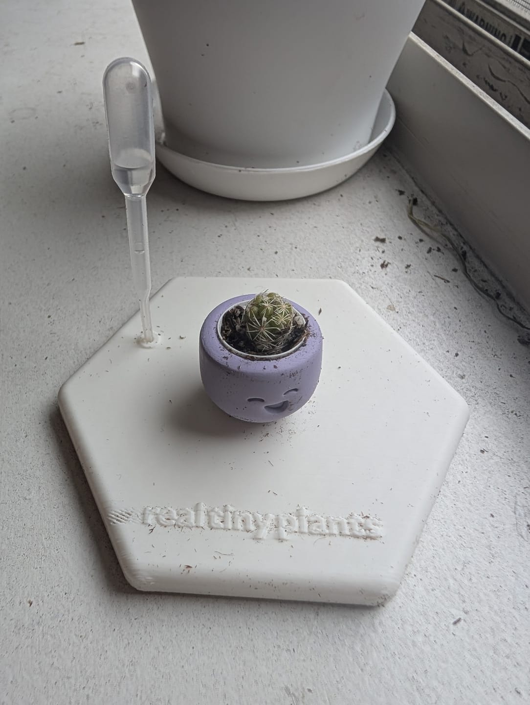 Customer photo review of Little Lavender