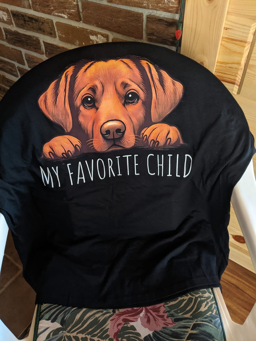 Customer photo review of Fox Red Labrador Favorite Child