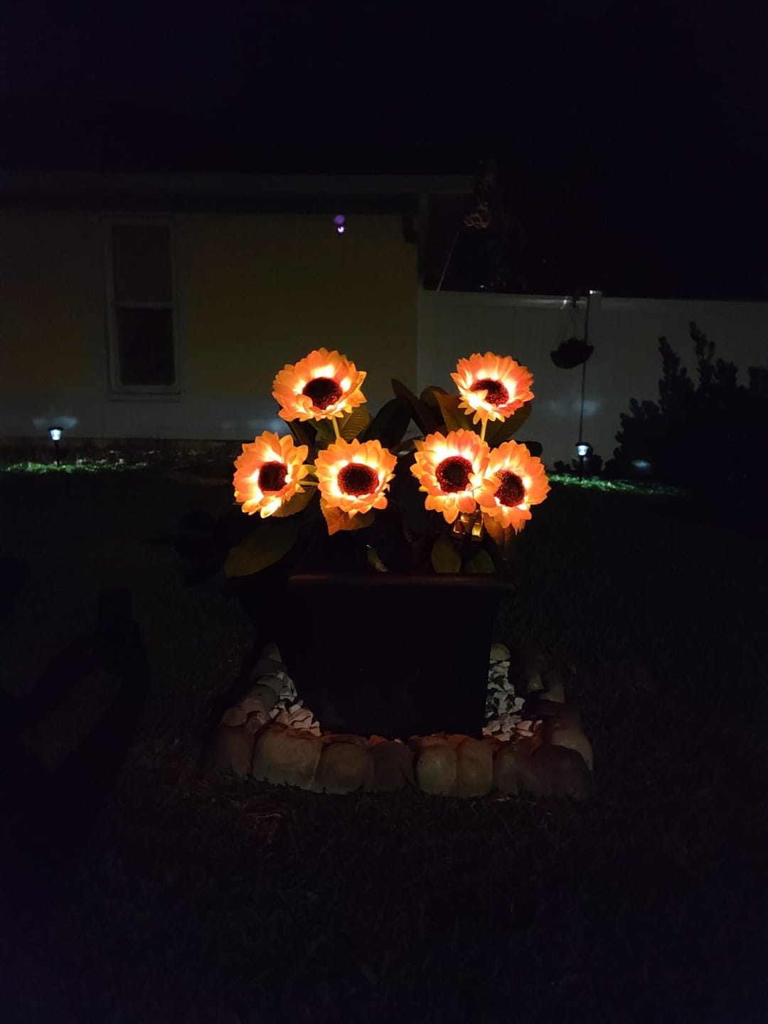 Customer photo review of Litlamp® Solar Sunflower LED Lights