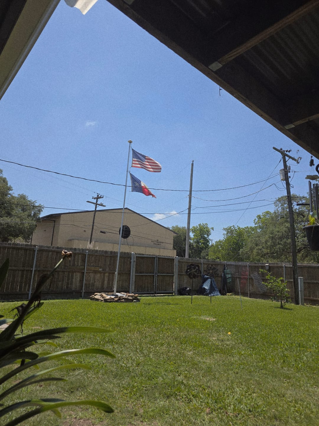 Customer photo review of 3' x 5' Texas Flag