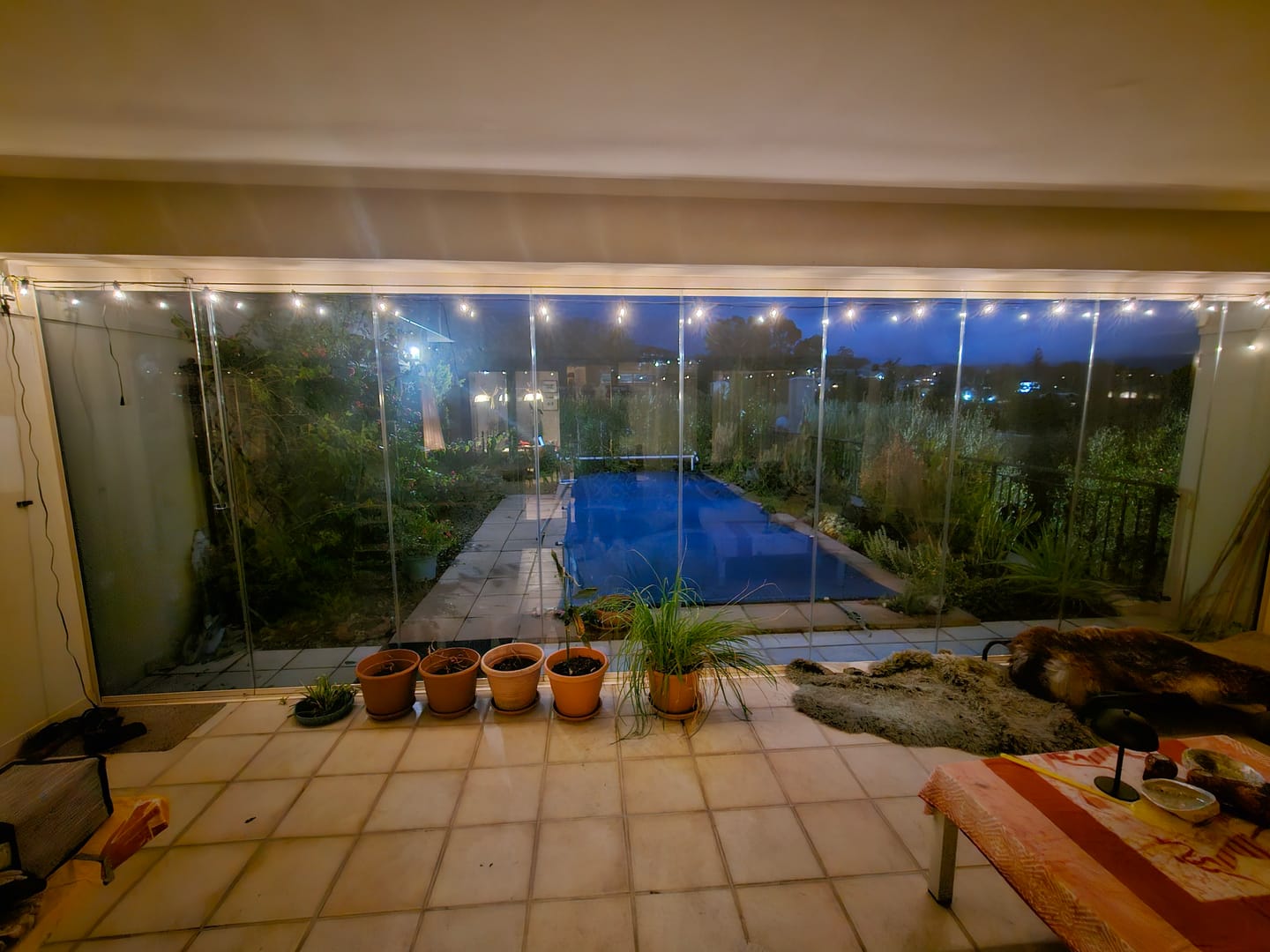 Customer photo review of Solar Mini Bulb String Lights