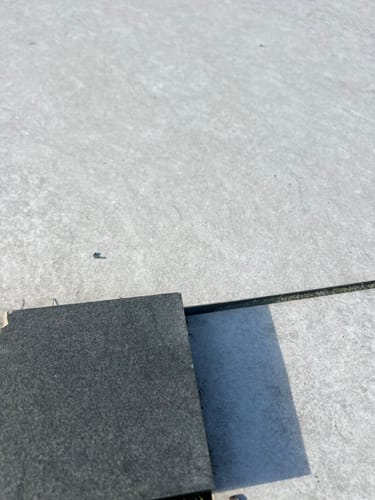 Customer photo review of Samples