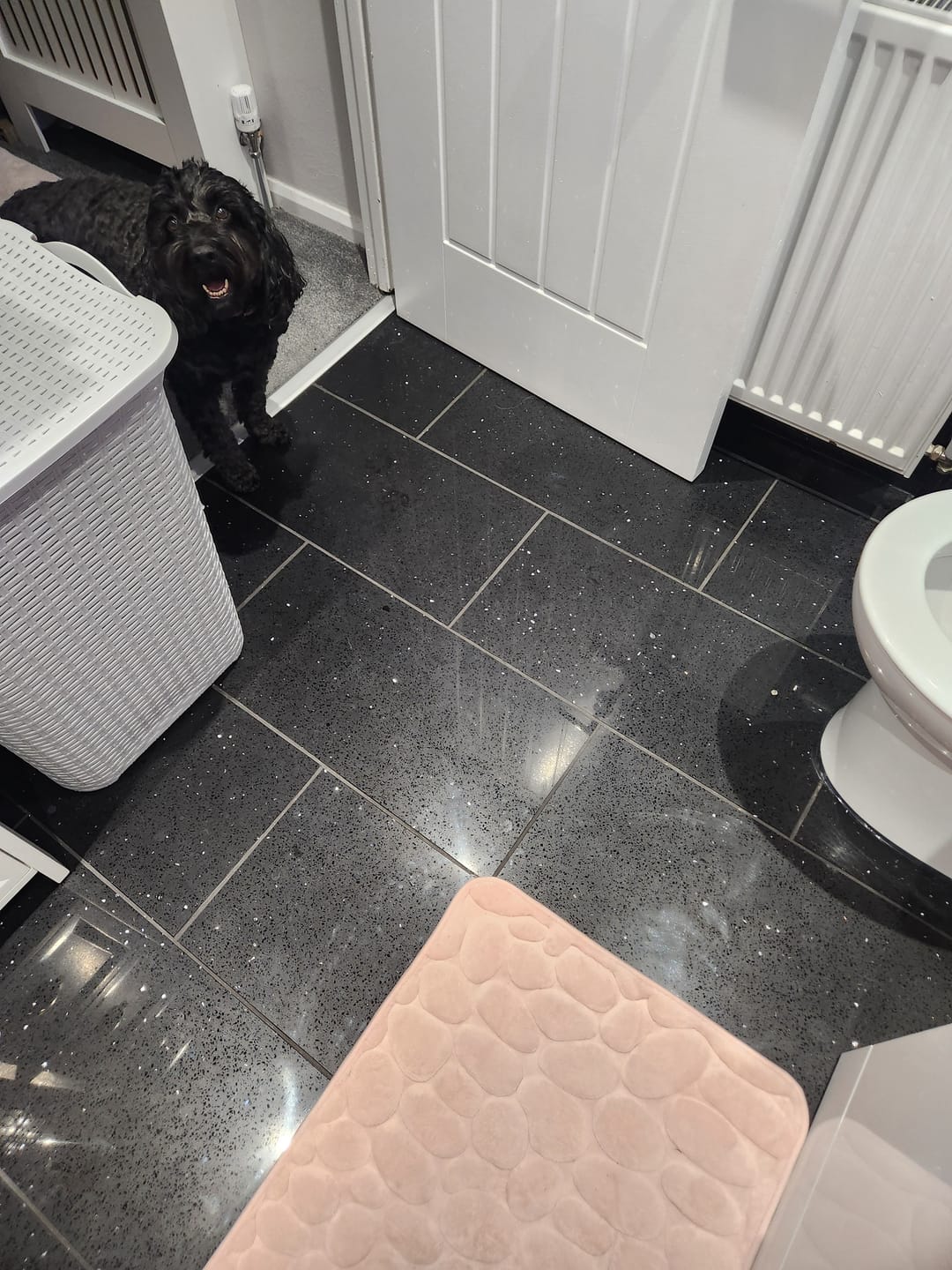 Customer photo review of Starbright Black Quartz Gloss 30x60cm MB